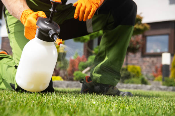 Best Commercial Pest Control Services  in Kimball, NE