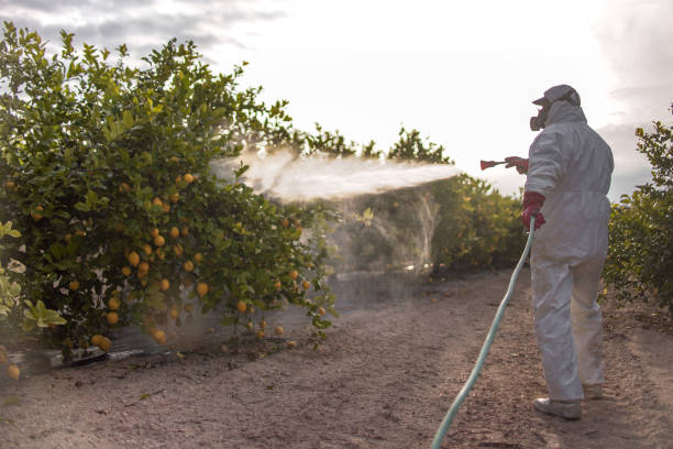 Best Mosquito Control Services  in Kimball, NE