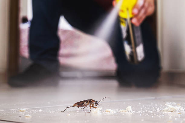 Best Cockroach Control Services  in Kimball, NE