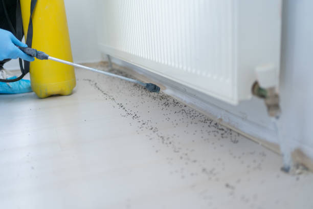 Best Wildlife Control Services  in Kimball, NE